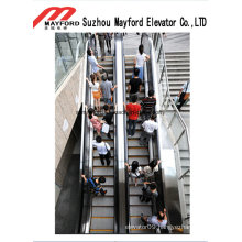 Passenger Elevator Escalator for Railway Station